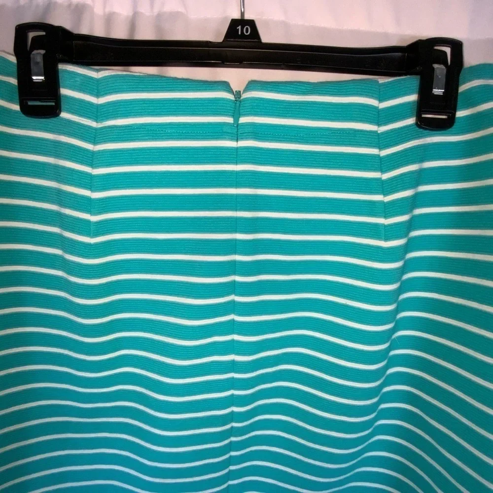Talbots Aqua & White Striped A-Line Stretchy Skirt With Pockets 2P